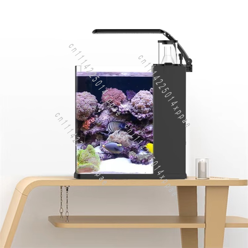 해양용 투명 유리 미니 해수어항 - Aquarium Marine Salt 리뷰 및 가격