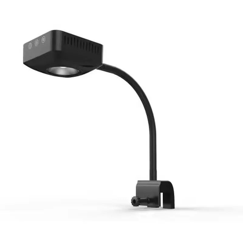 고급 해수 어항 장식용 액세서리 LED 조명, 해수 어 - Aquarium Marine Salt 리뷰 및 가격